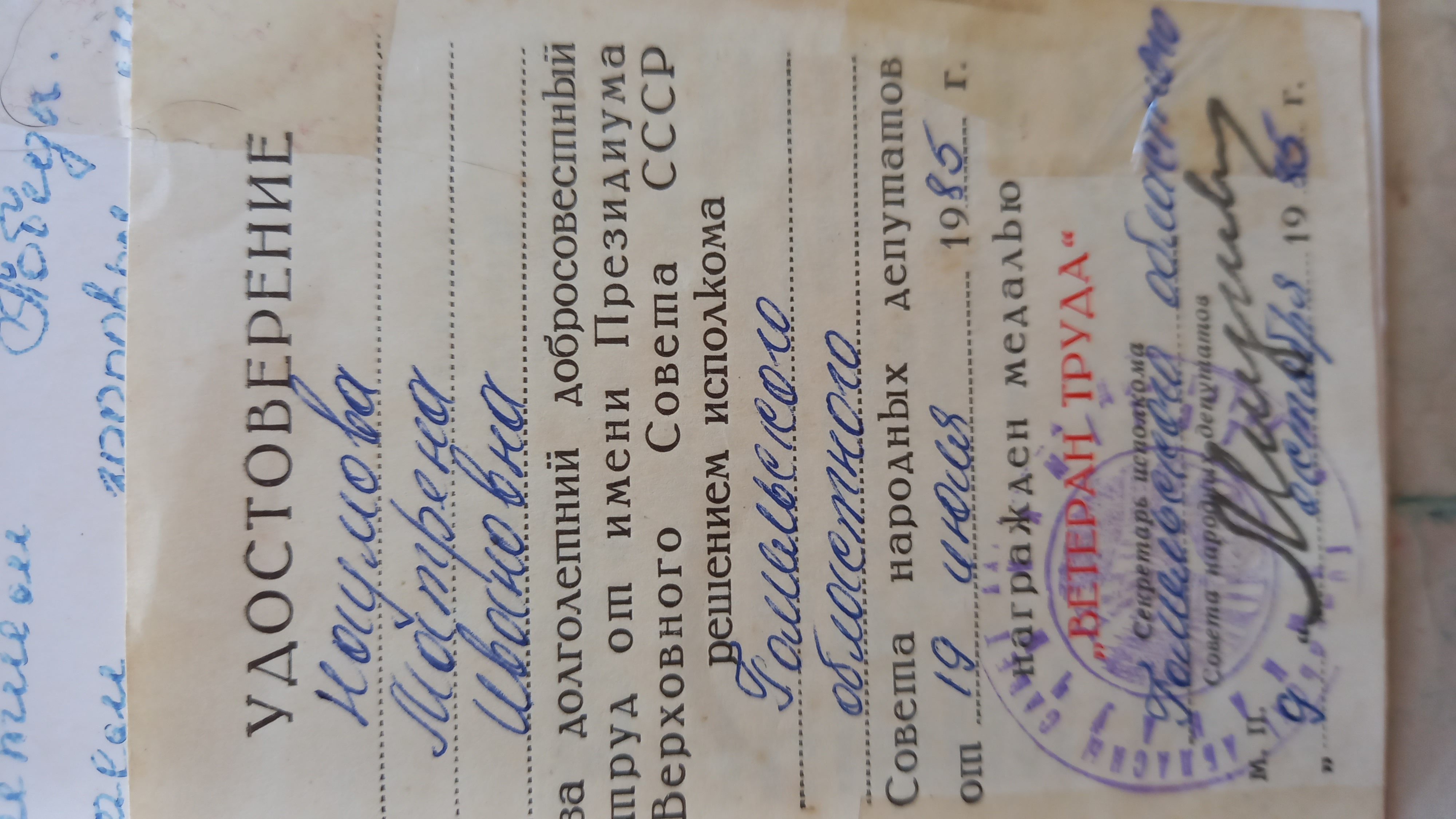 Наумова (Кушнер) Матрена Ивановна