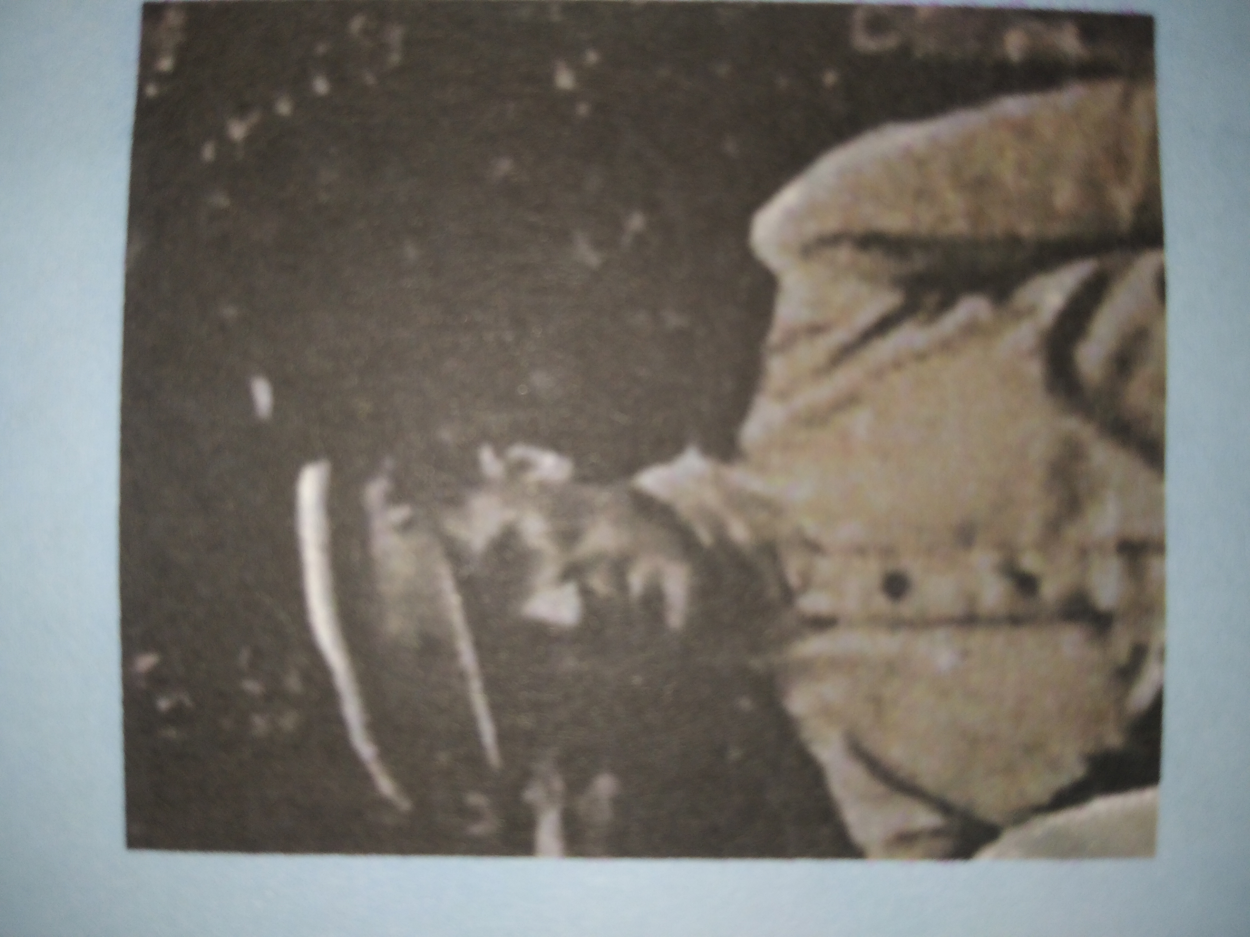 Литвинюк Федор Ильич