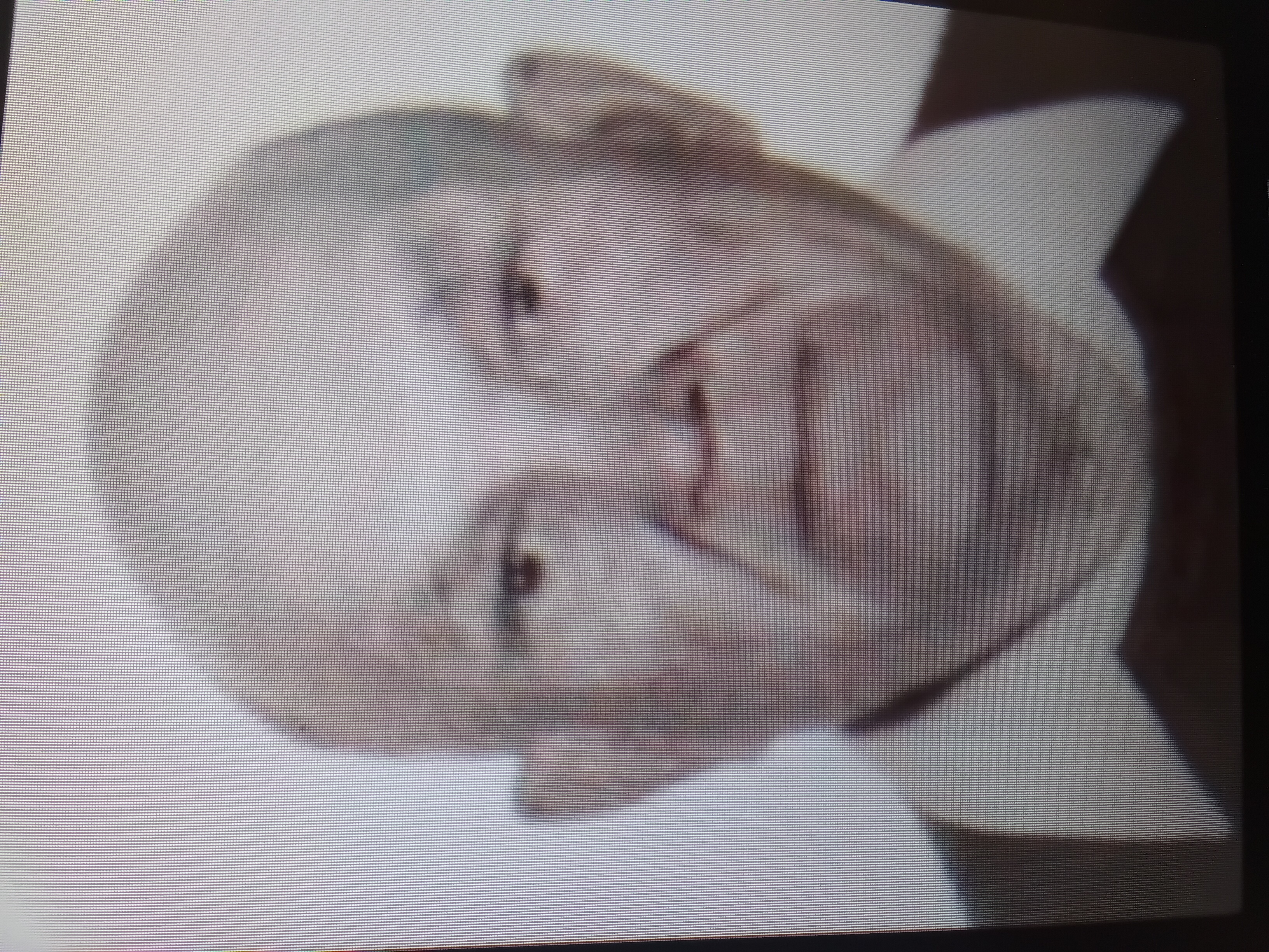 Андрикевич Григорий Лазаревич