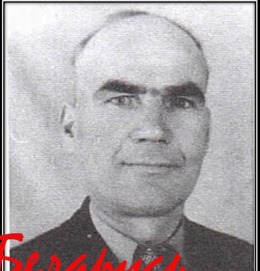 Романик Михаил Георгиевич