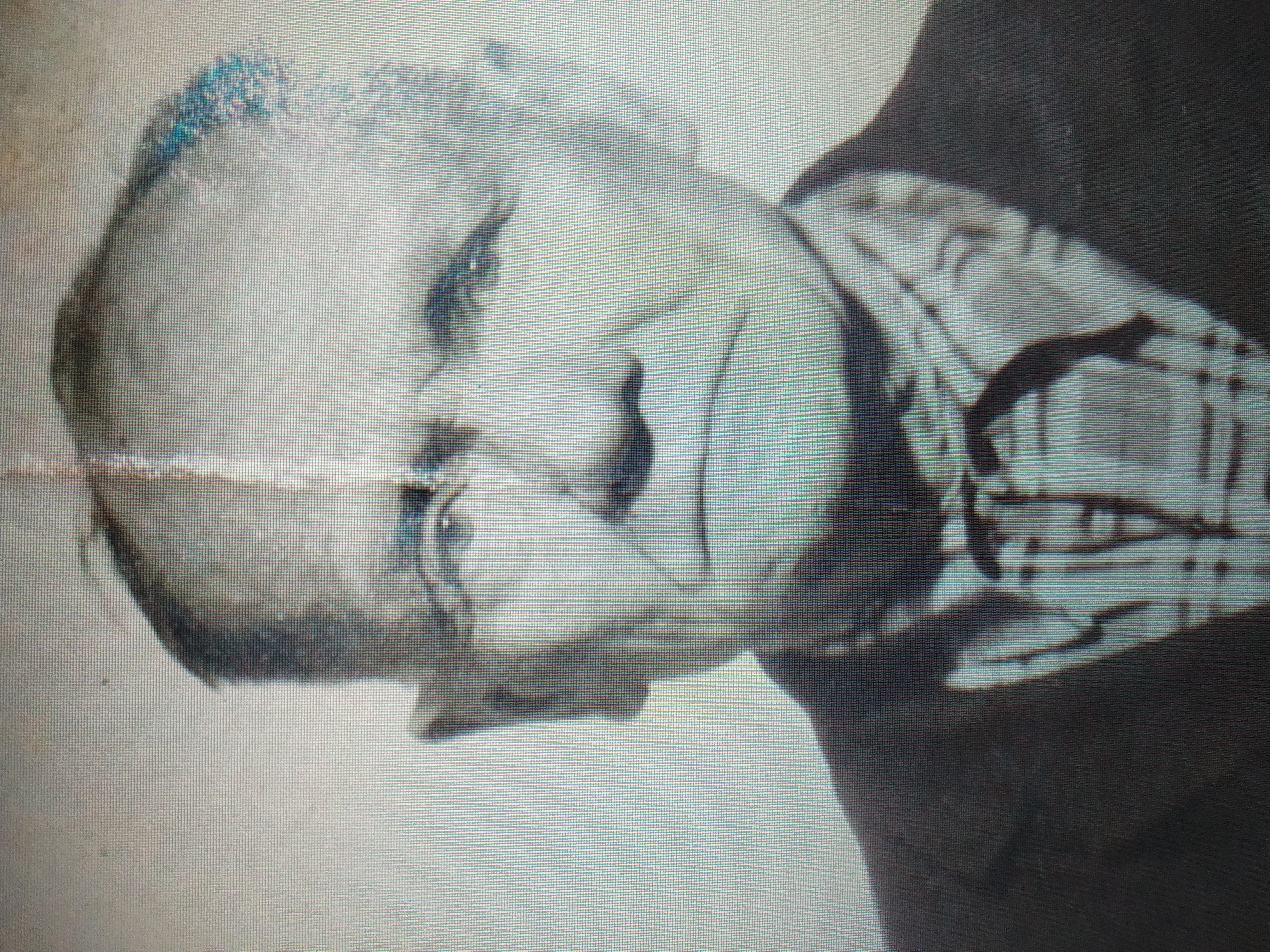 Авласик Станислав Францевич