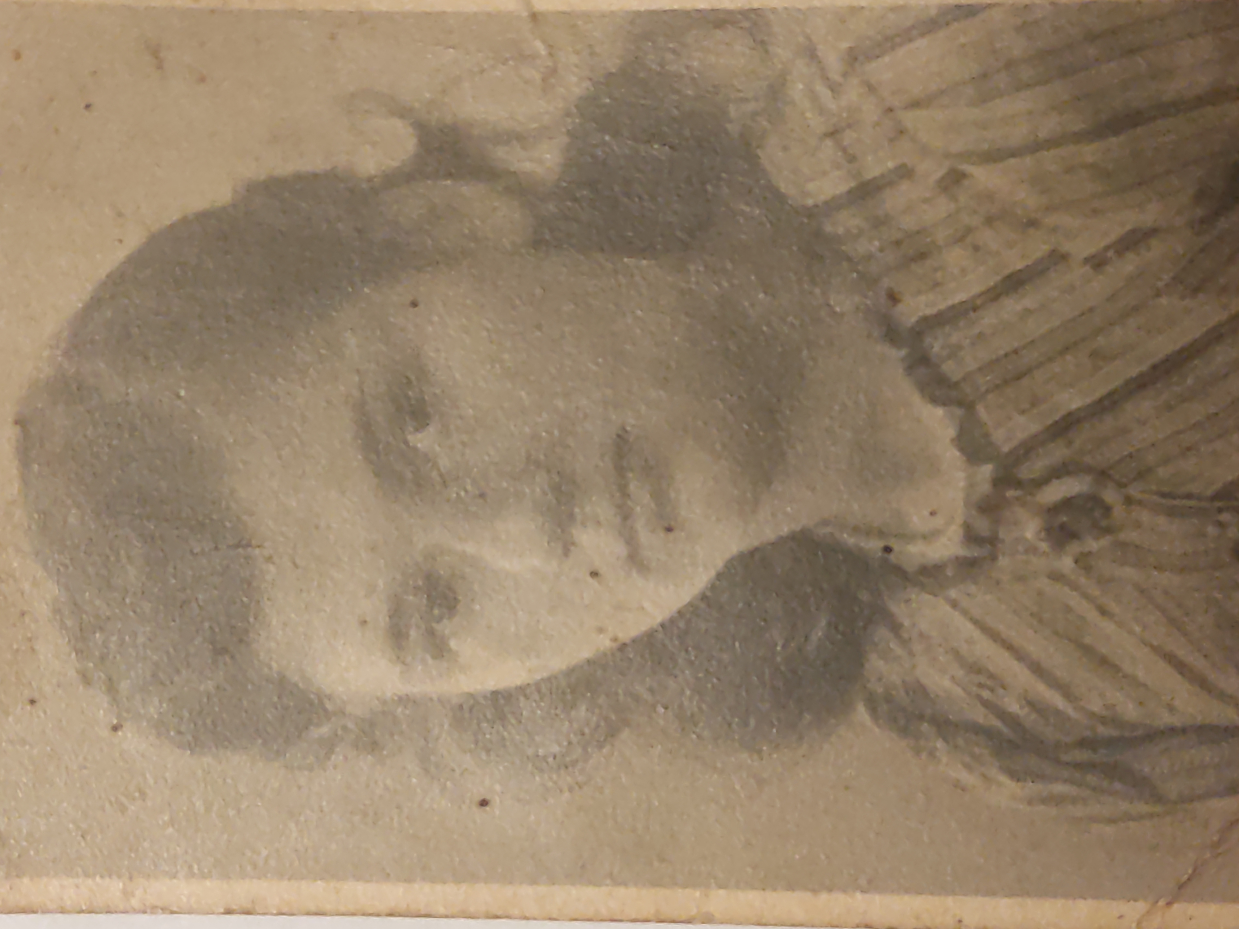 Кастюкевич (Заградская) Любовь Афанасьевна