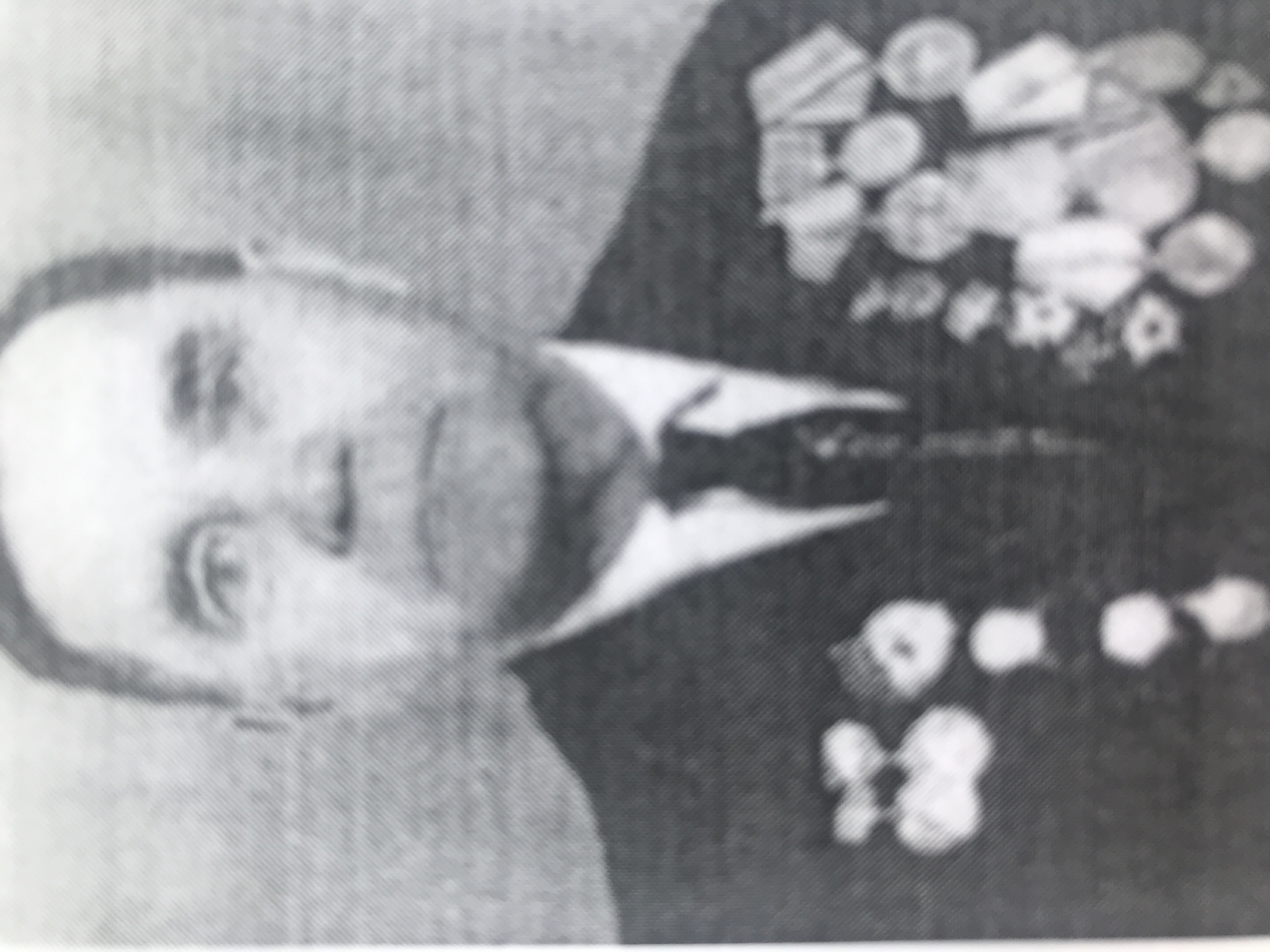 Шалимов Александр Иванович