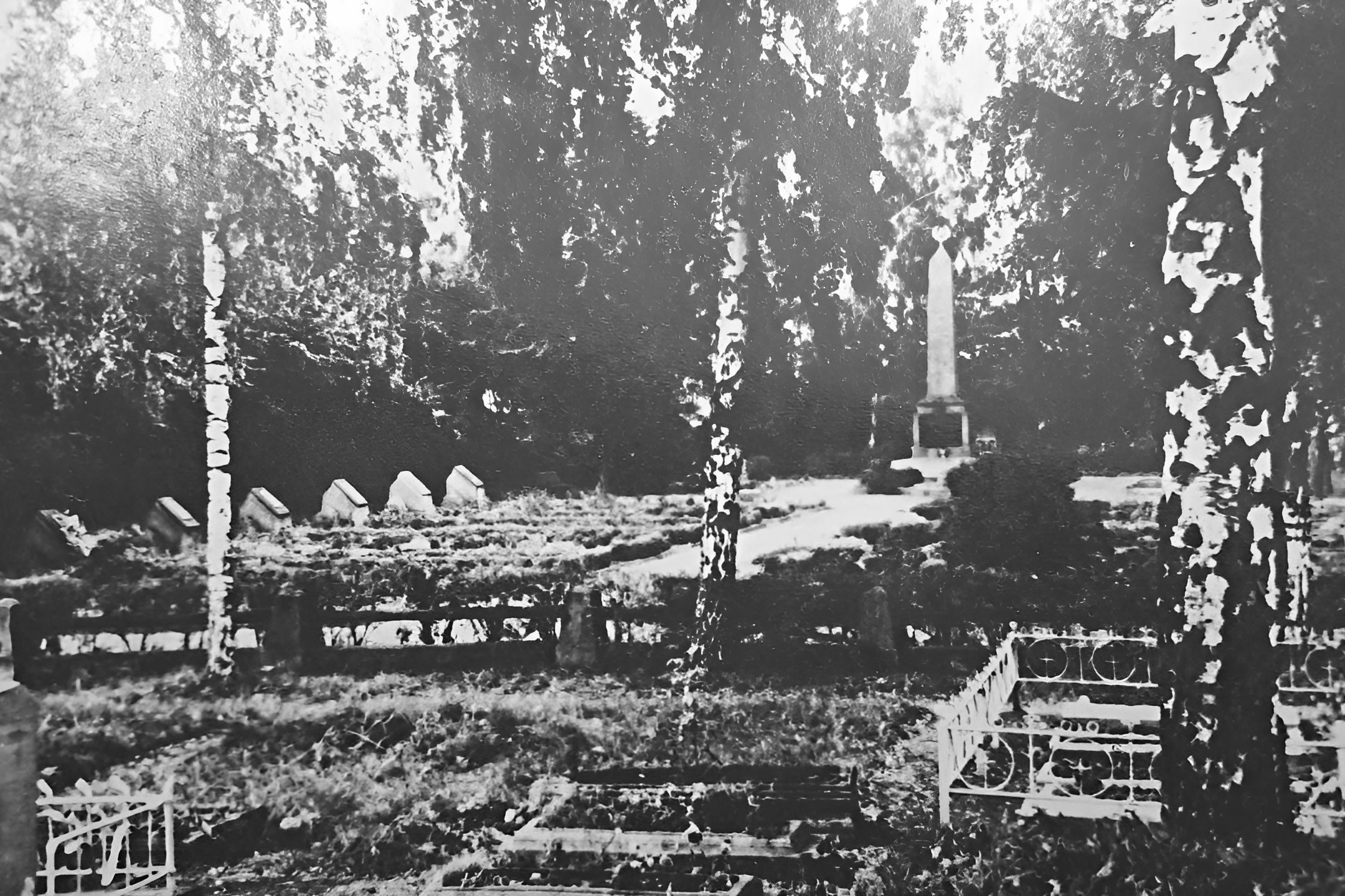 Яцевич Николай Павлович