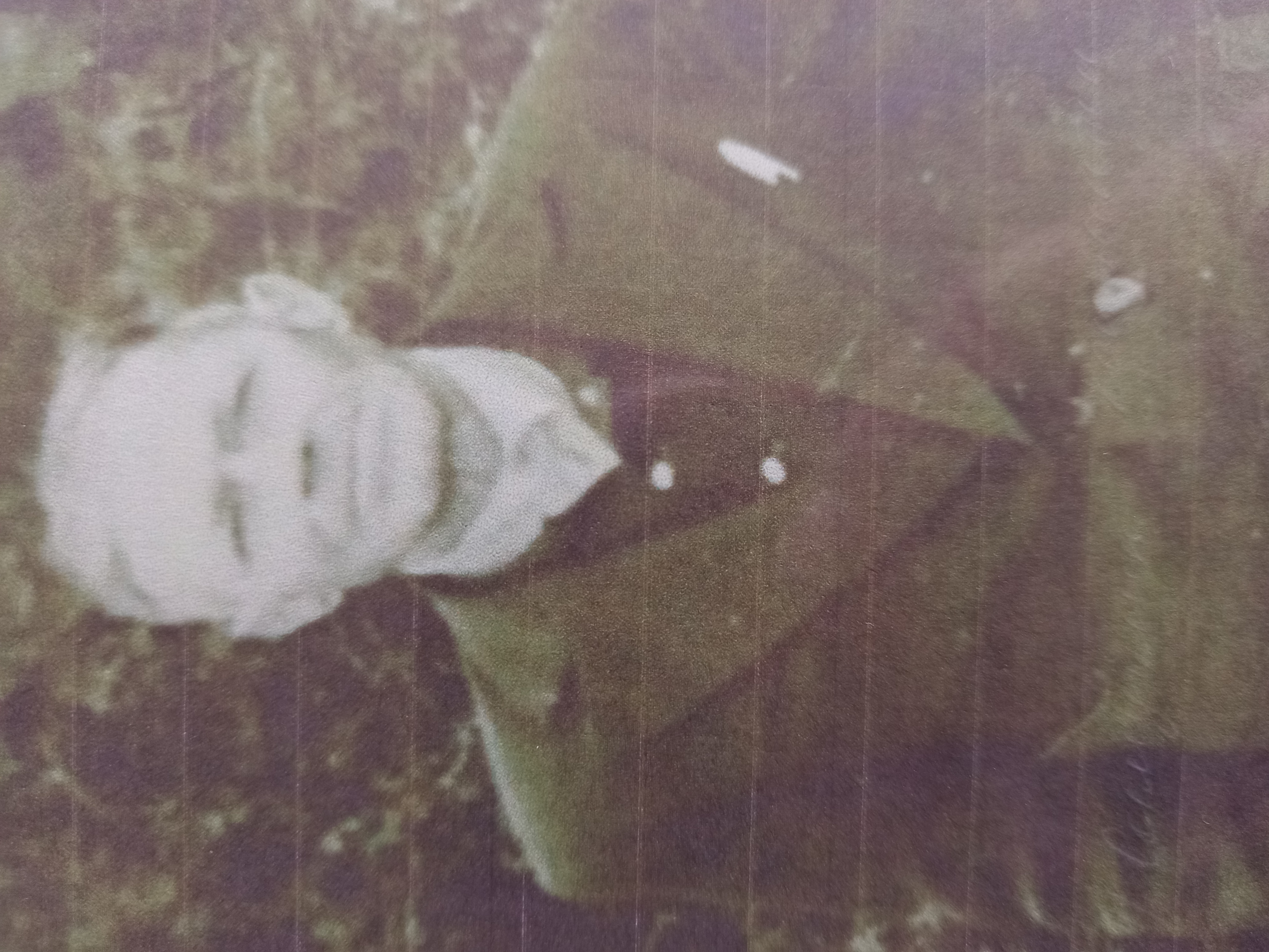 Самуйлик Константин Максимович