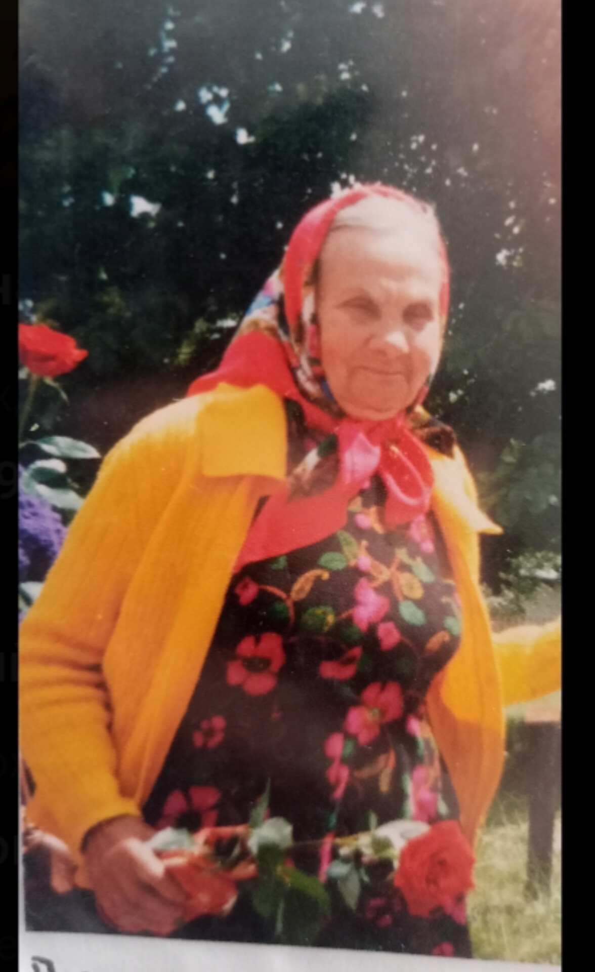 Прилуцкая Вера Александровна