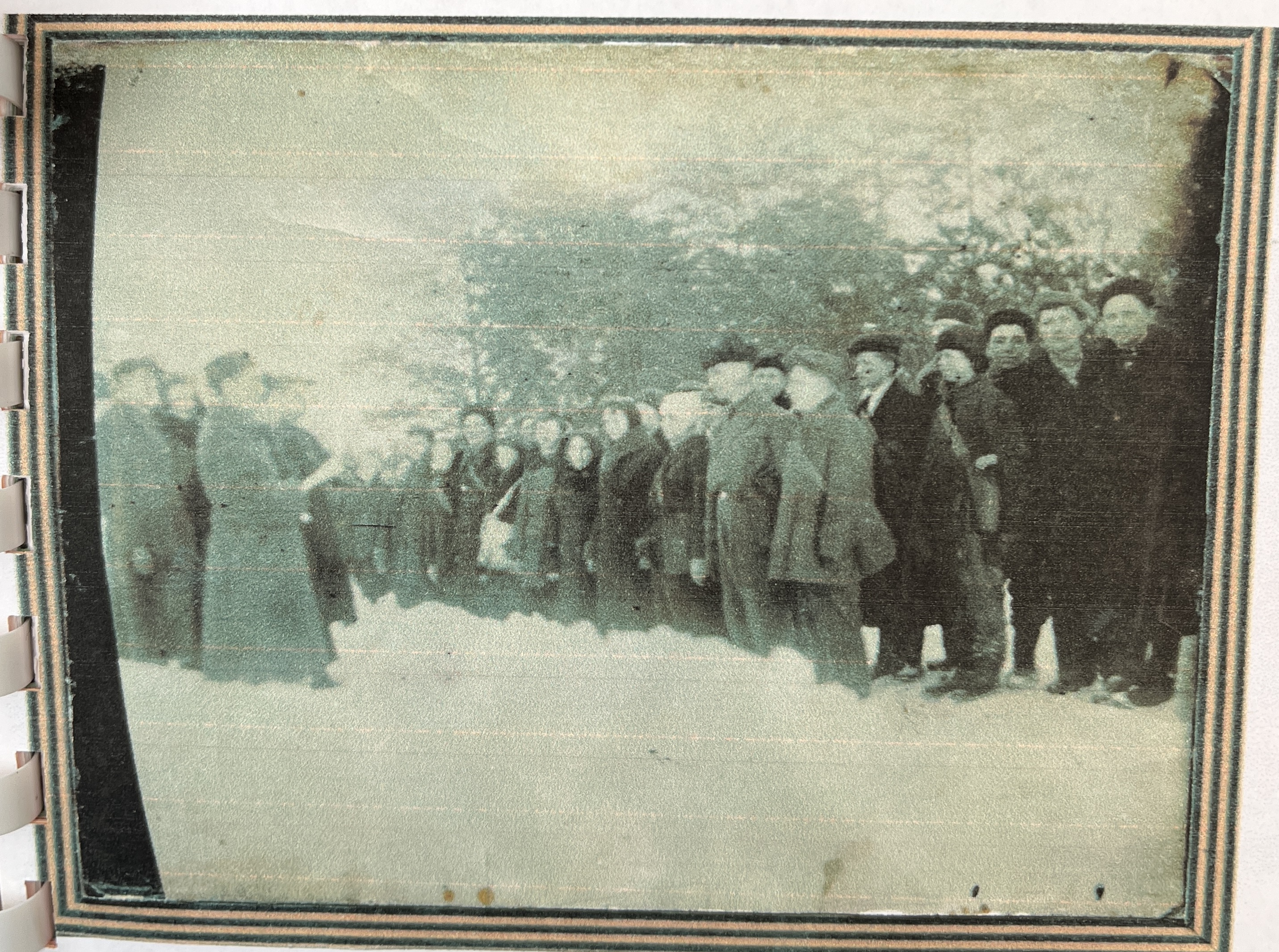 Кононович Софья Сергеевна