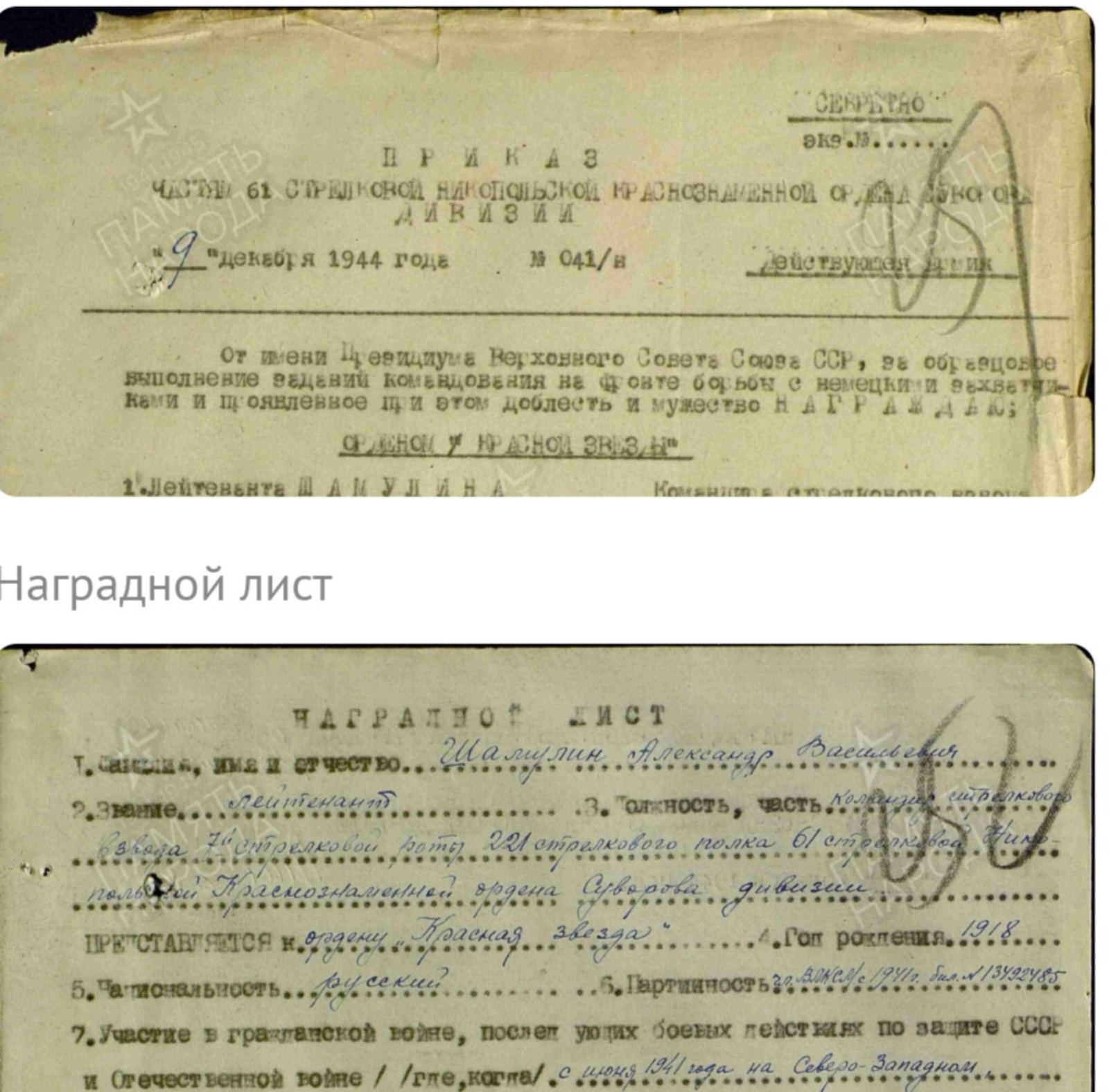 Шамулин Александр Васильевич