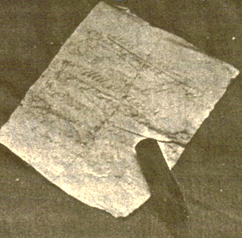 Шиманович Игнат Игнатович