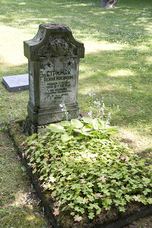 Стрижак Василий Максимович