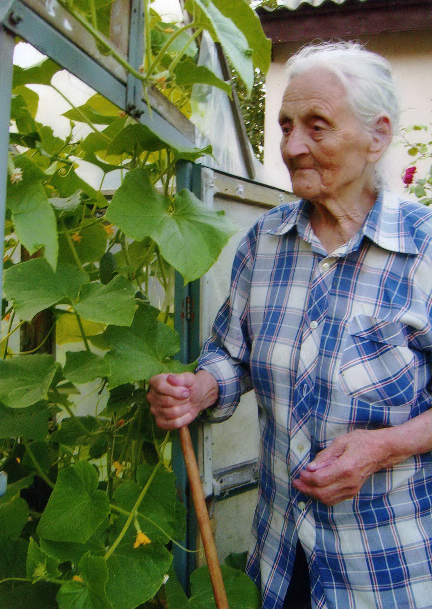 Костюкевич Мария Терентьевна