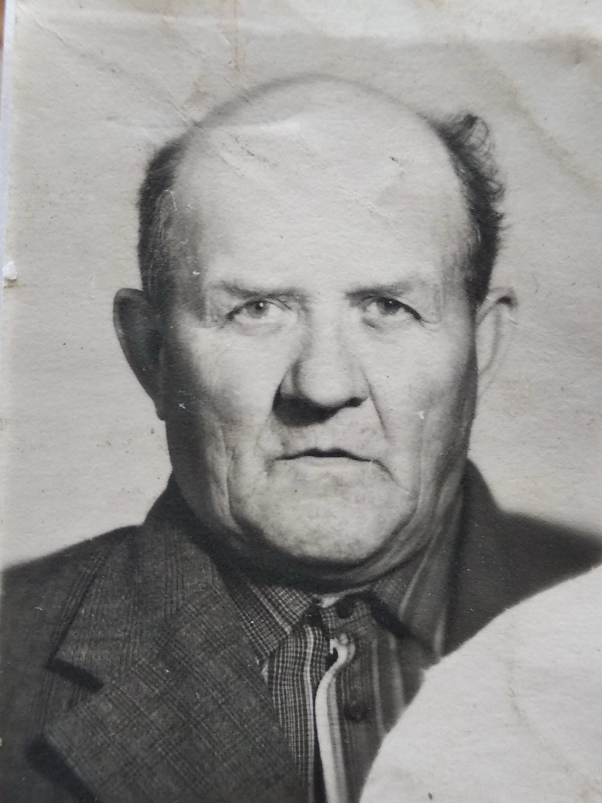 Дайлида Николай Чеславович