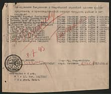 Кот Михаил Сафронавич