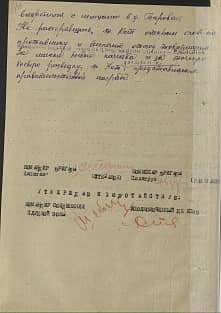 Кот Михаил Сафронавич