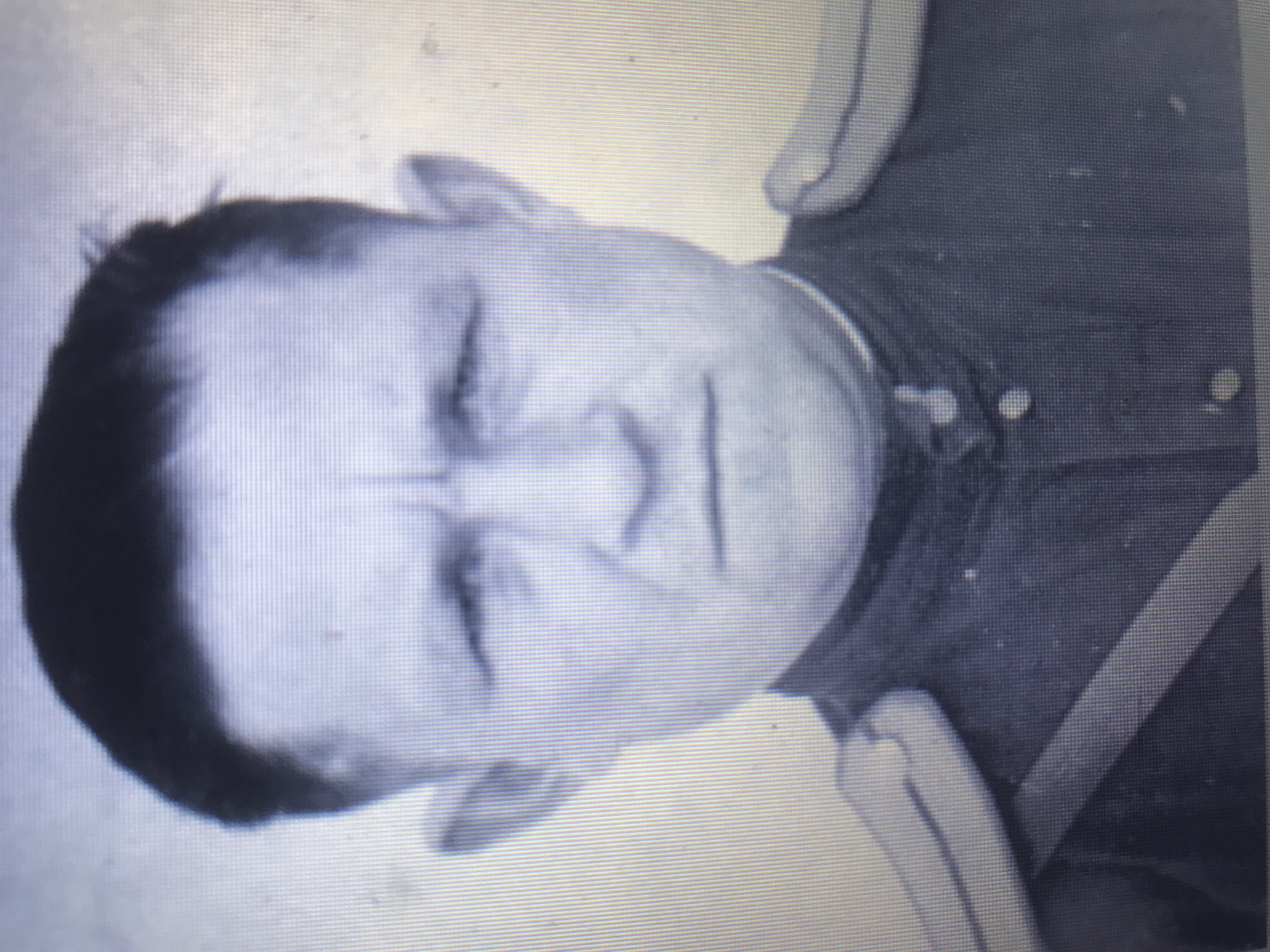 Кармильчик Федр Данилович