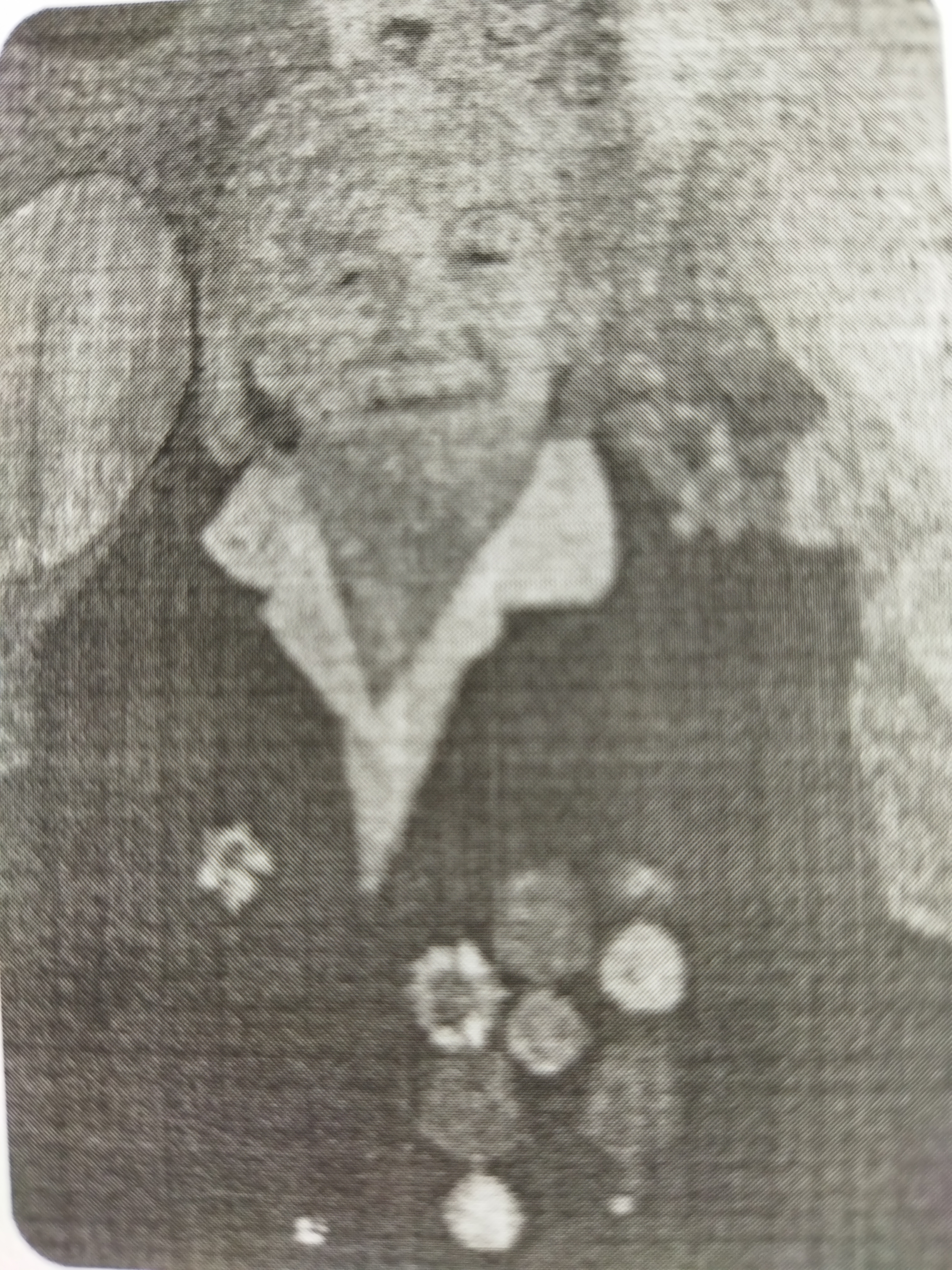 Жемчужная Анна Фёдоровна