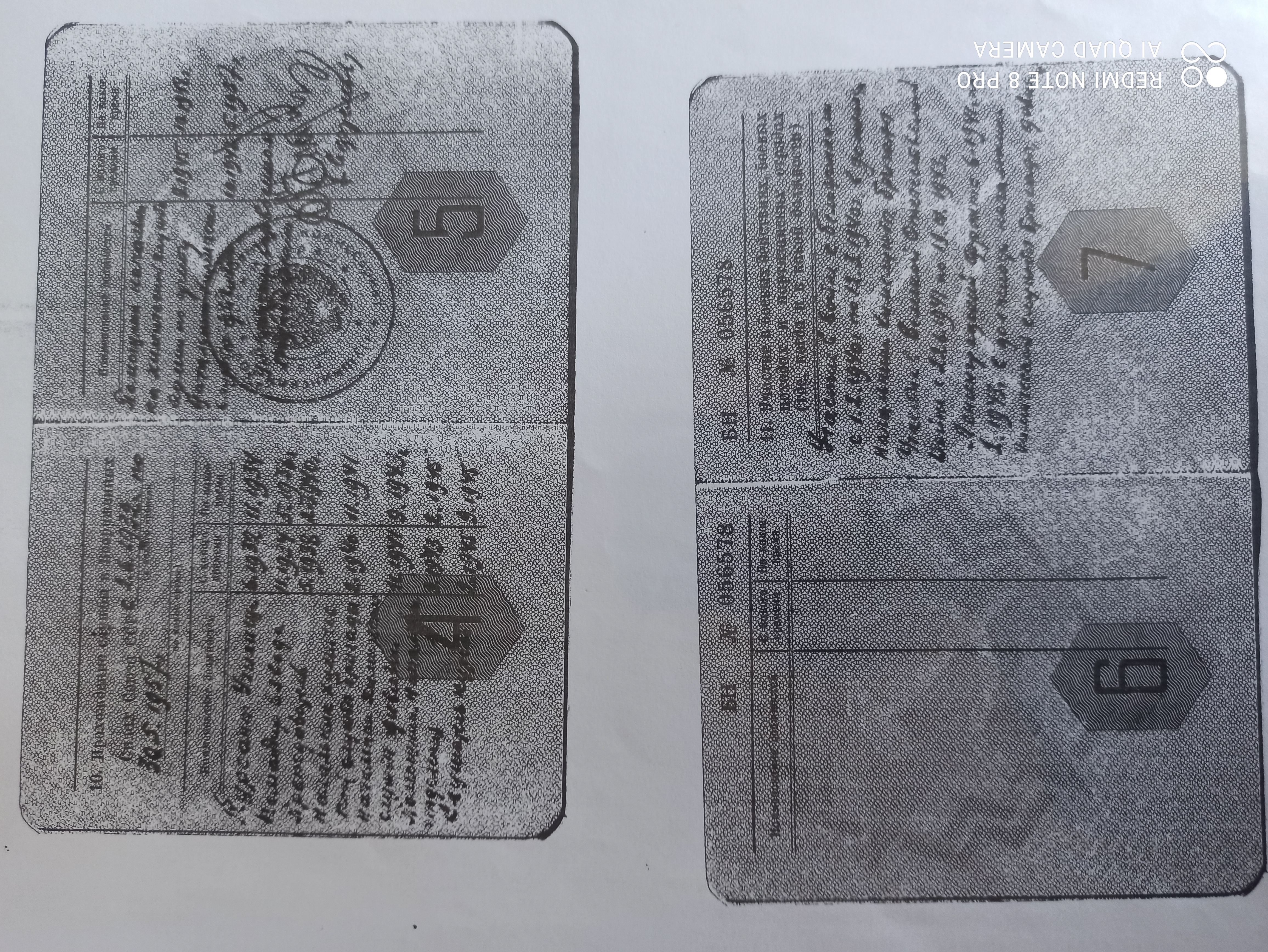 Шелехов Леонид Васильевич