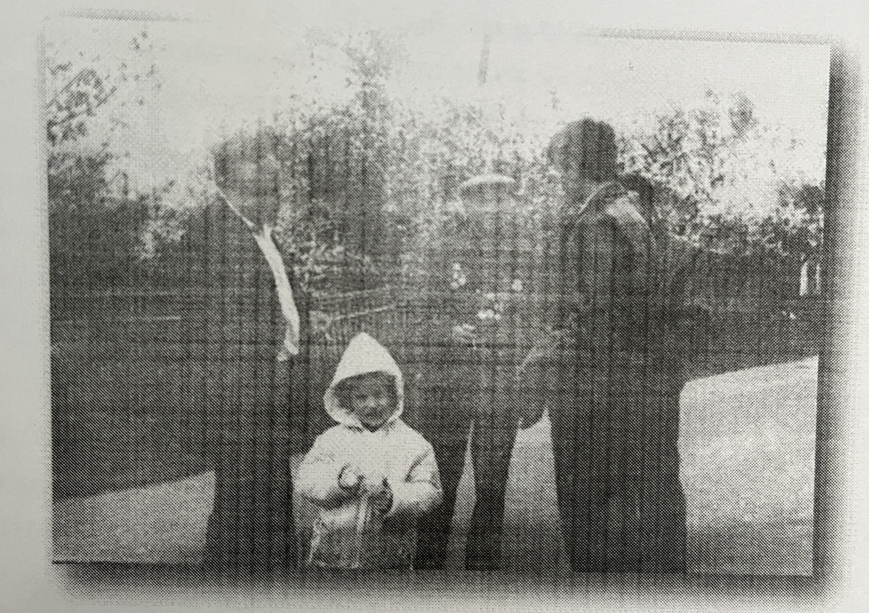 Малевич Александр Иванович