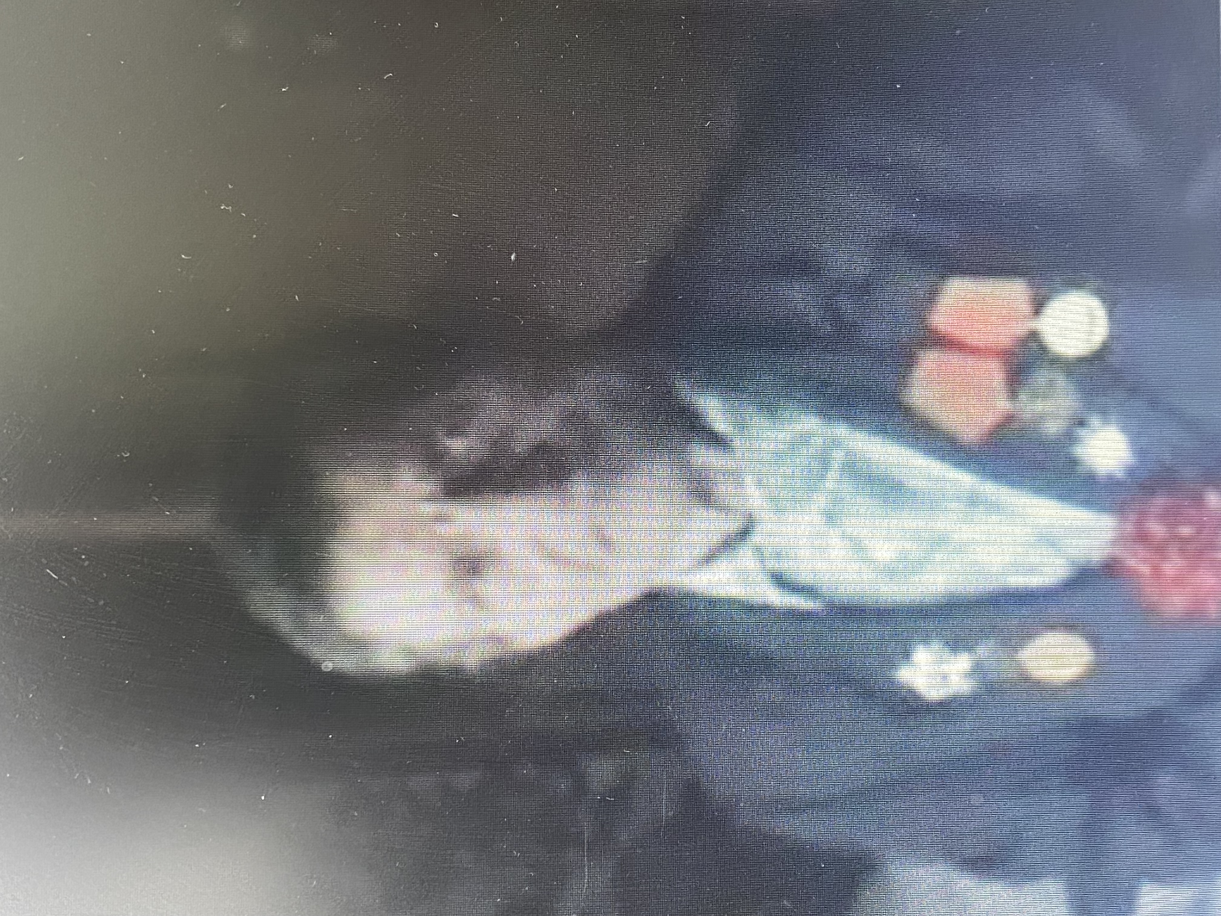 Нямчонак Антон Трафімавіч