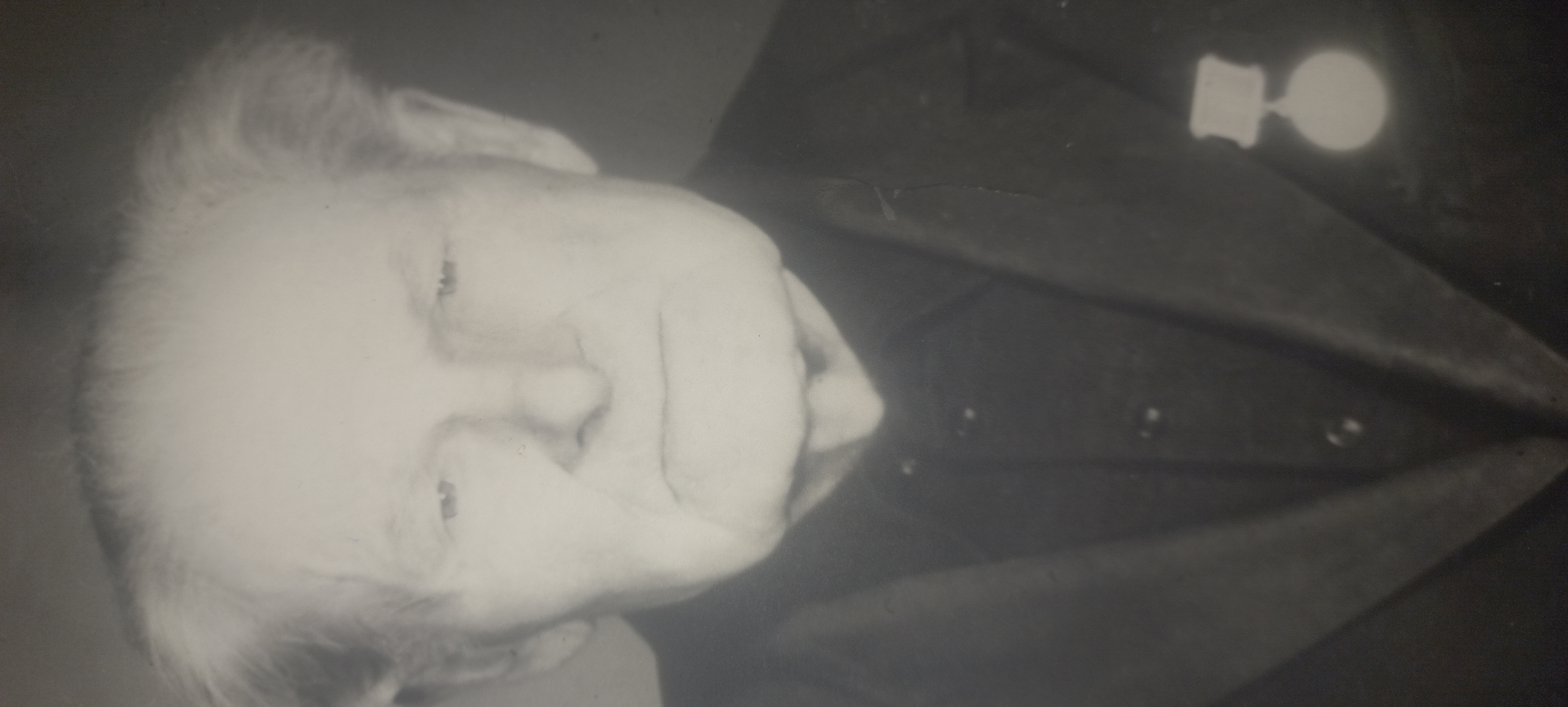 Денисюк Никон Максимович