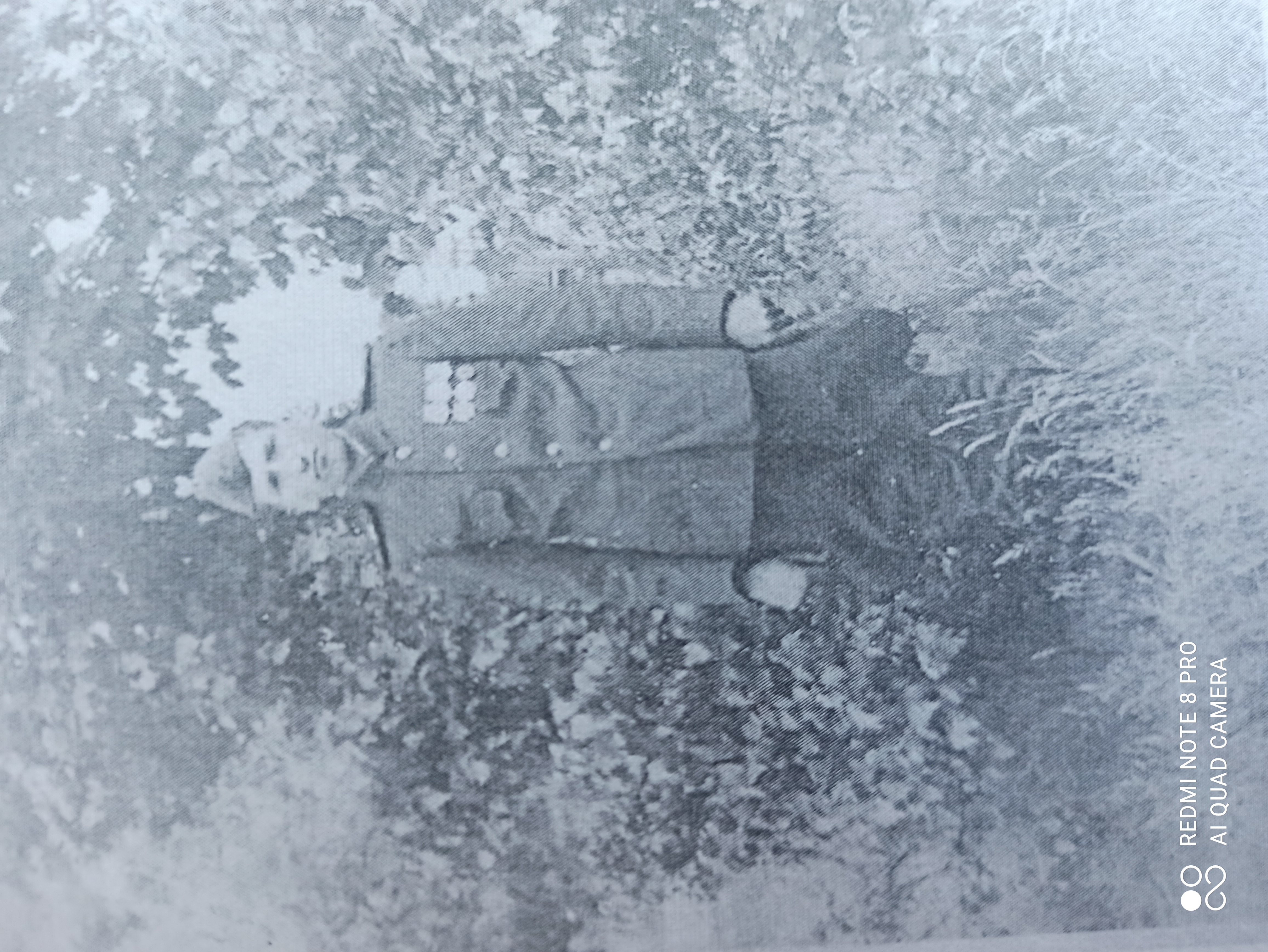 Ермак Николай Александрович