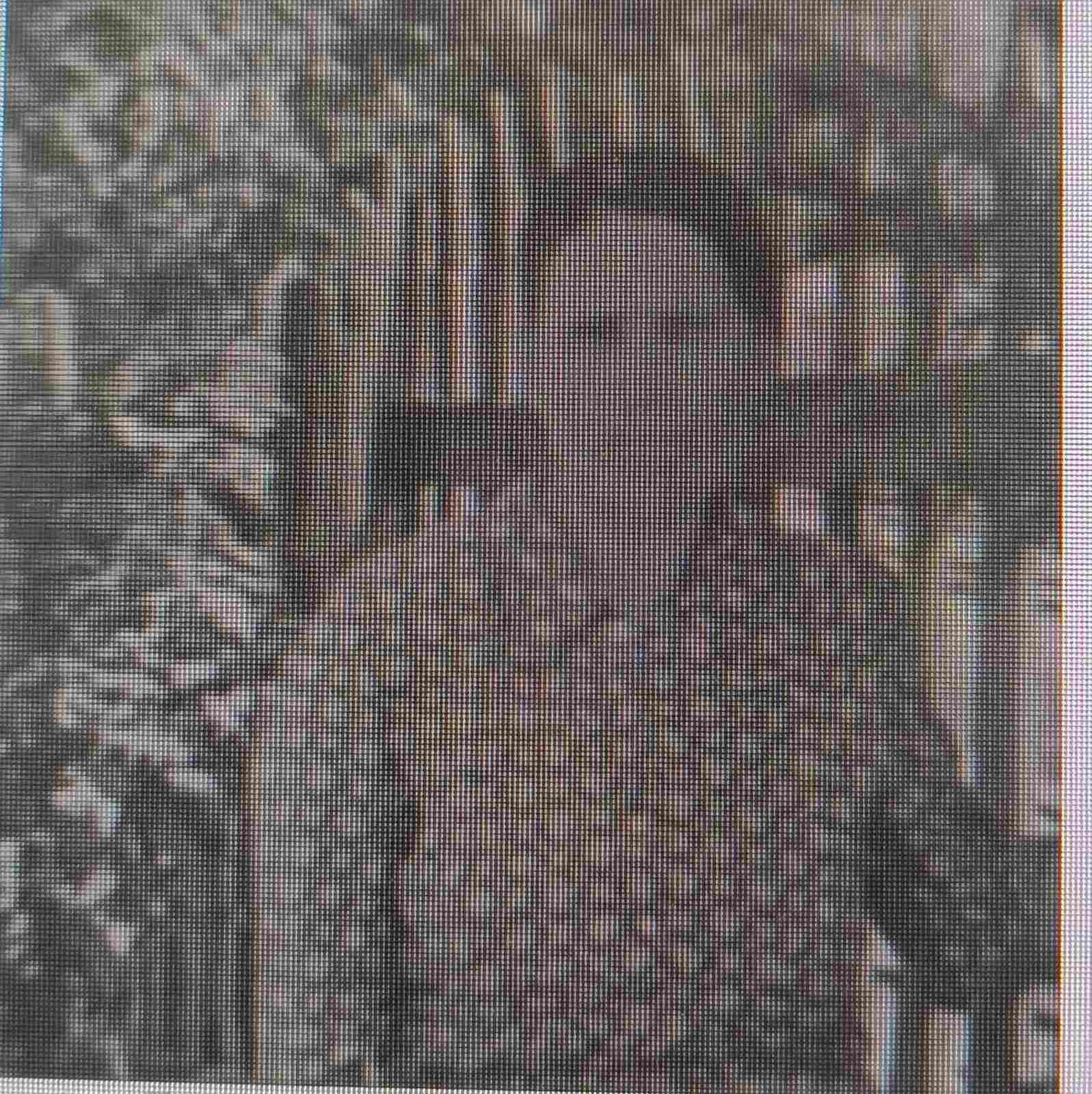 Черепнина Мария Семеновна