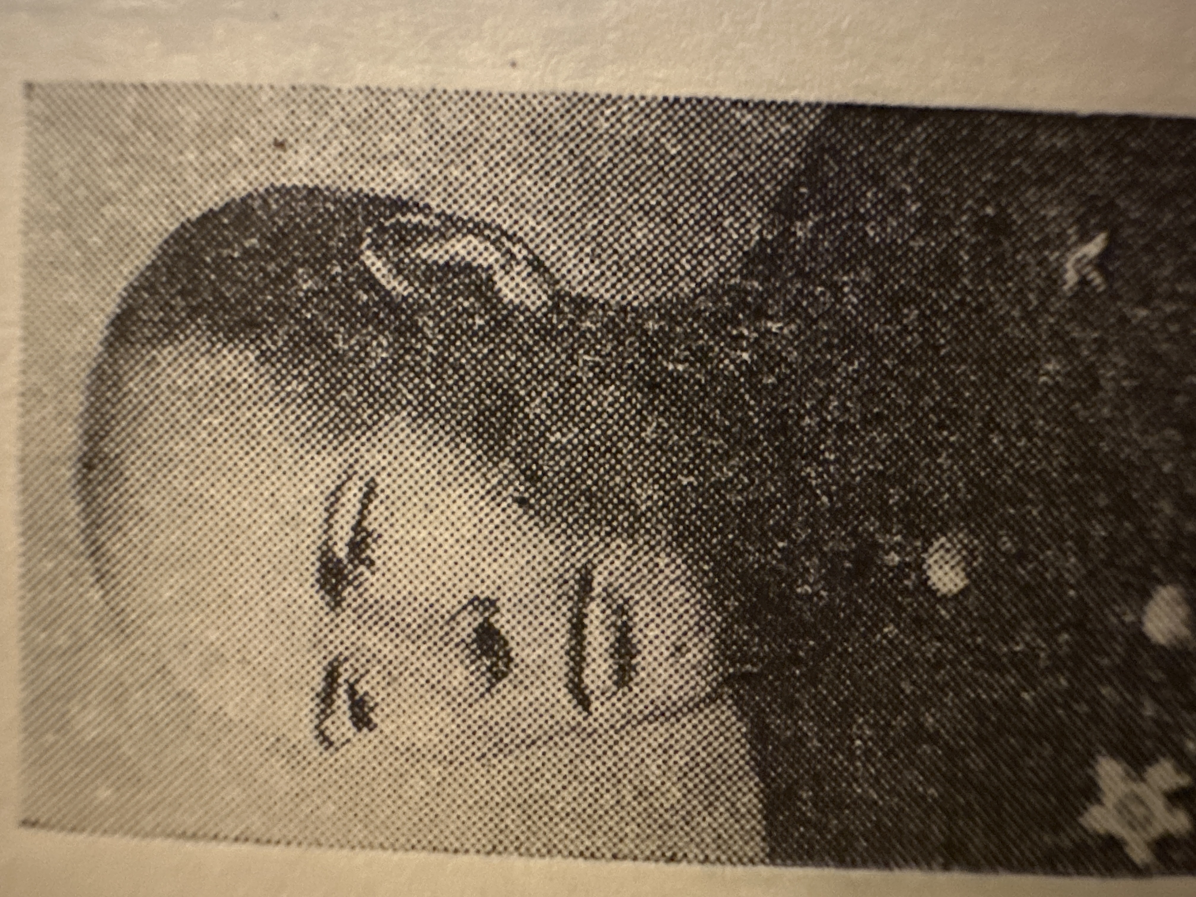 Абрамов Афанасий Нестерович