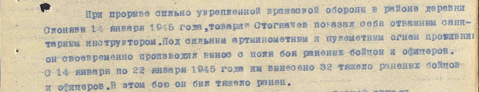 Стогначев Матвей Михайлович