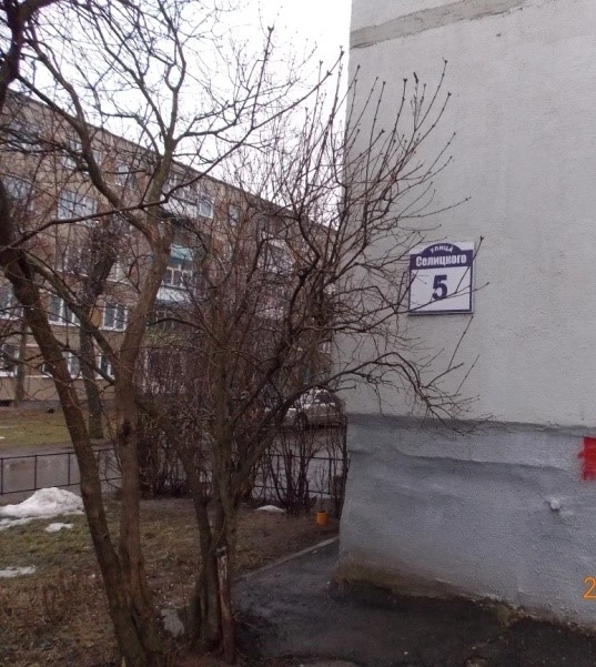 Селицкий Людвиг Иванович