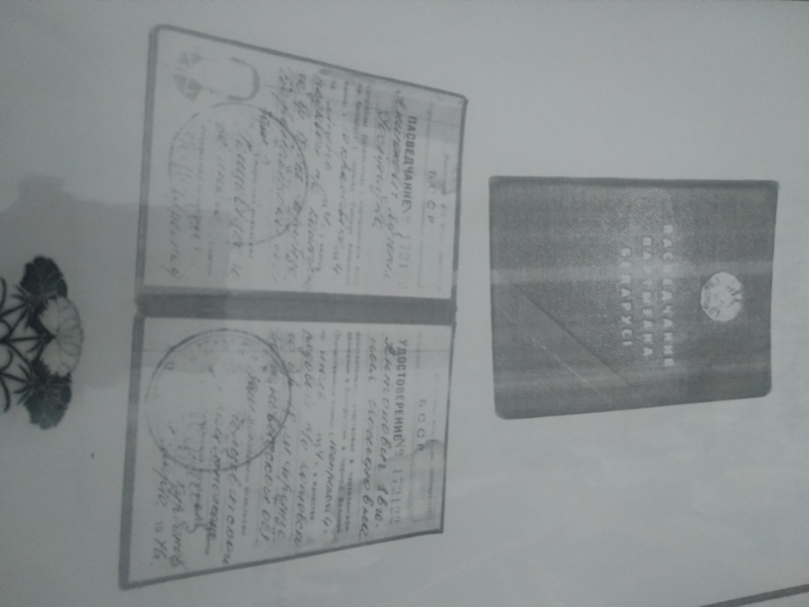 Гончарова Евгения Иосифовна