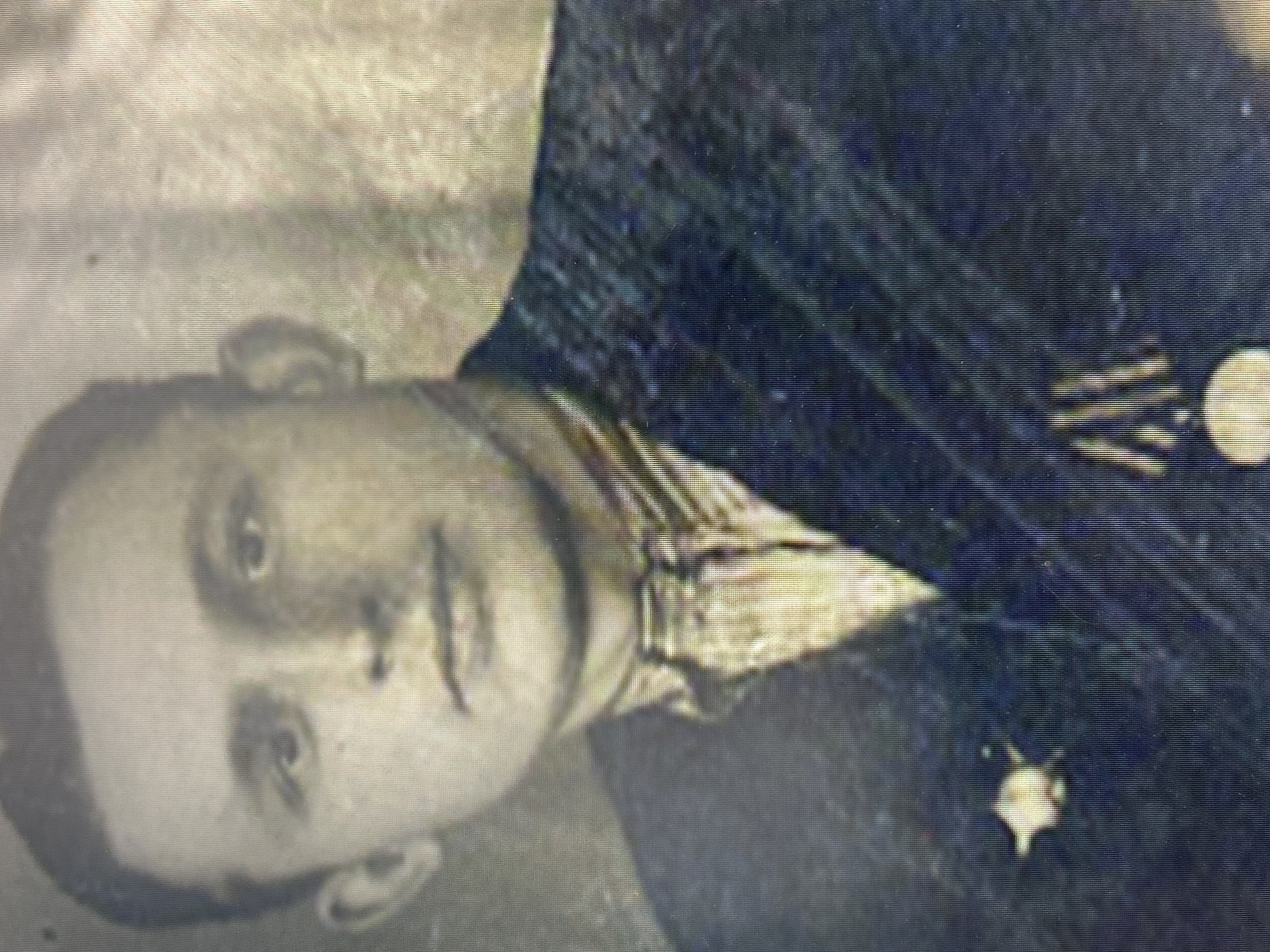 Цурков Пётр Ерофеевич