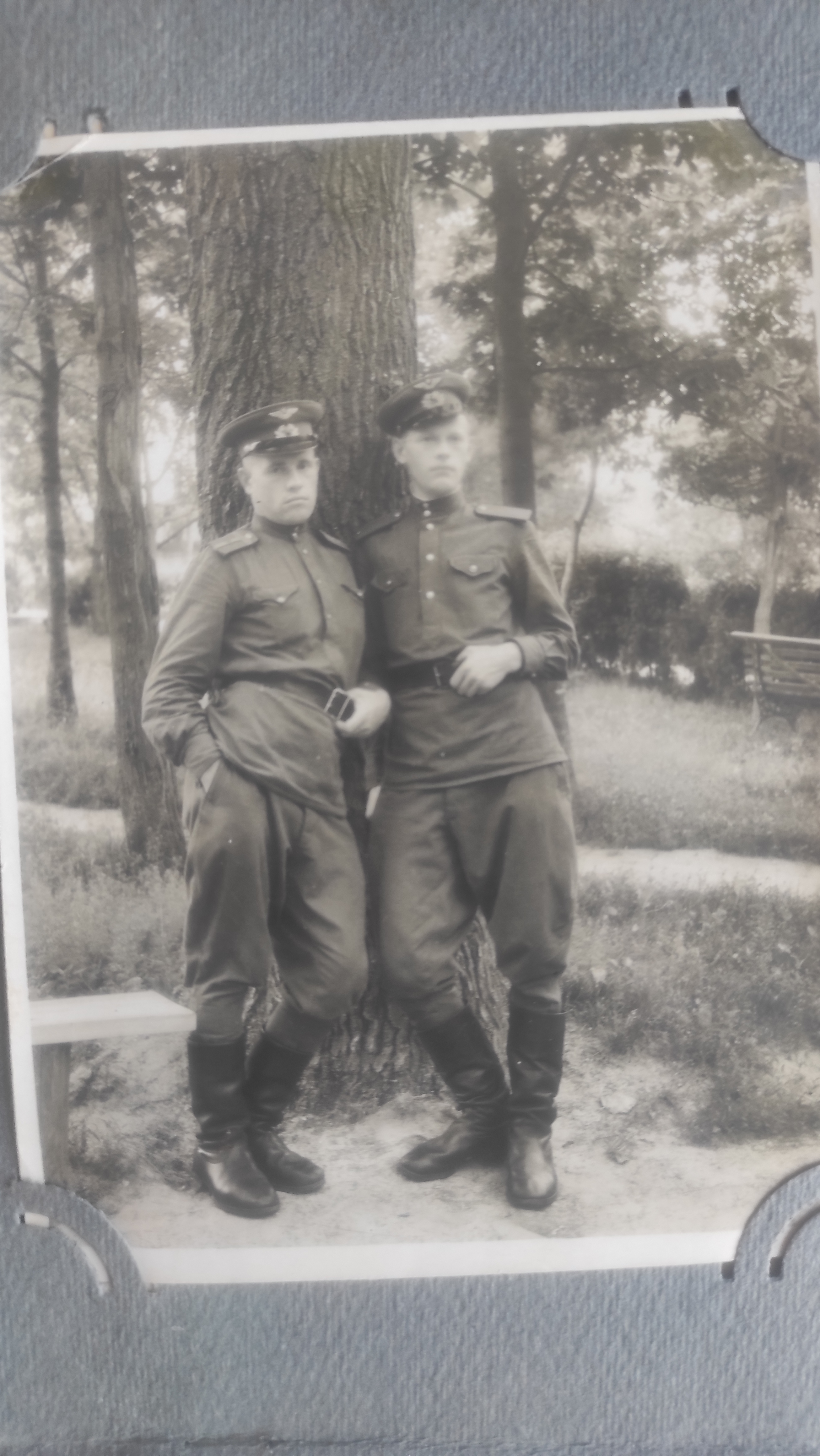 Морозов Николай Алексеевич