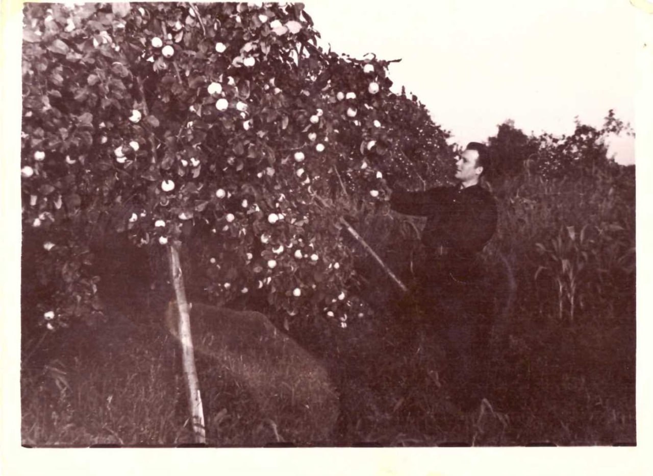 Новицкий Геннадий Петрович