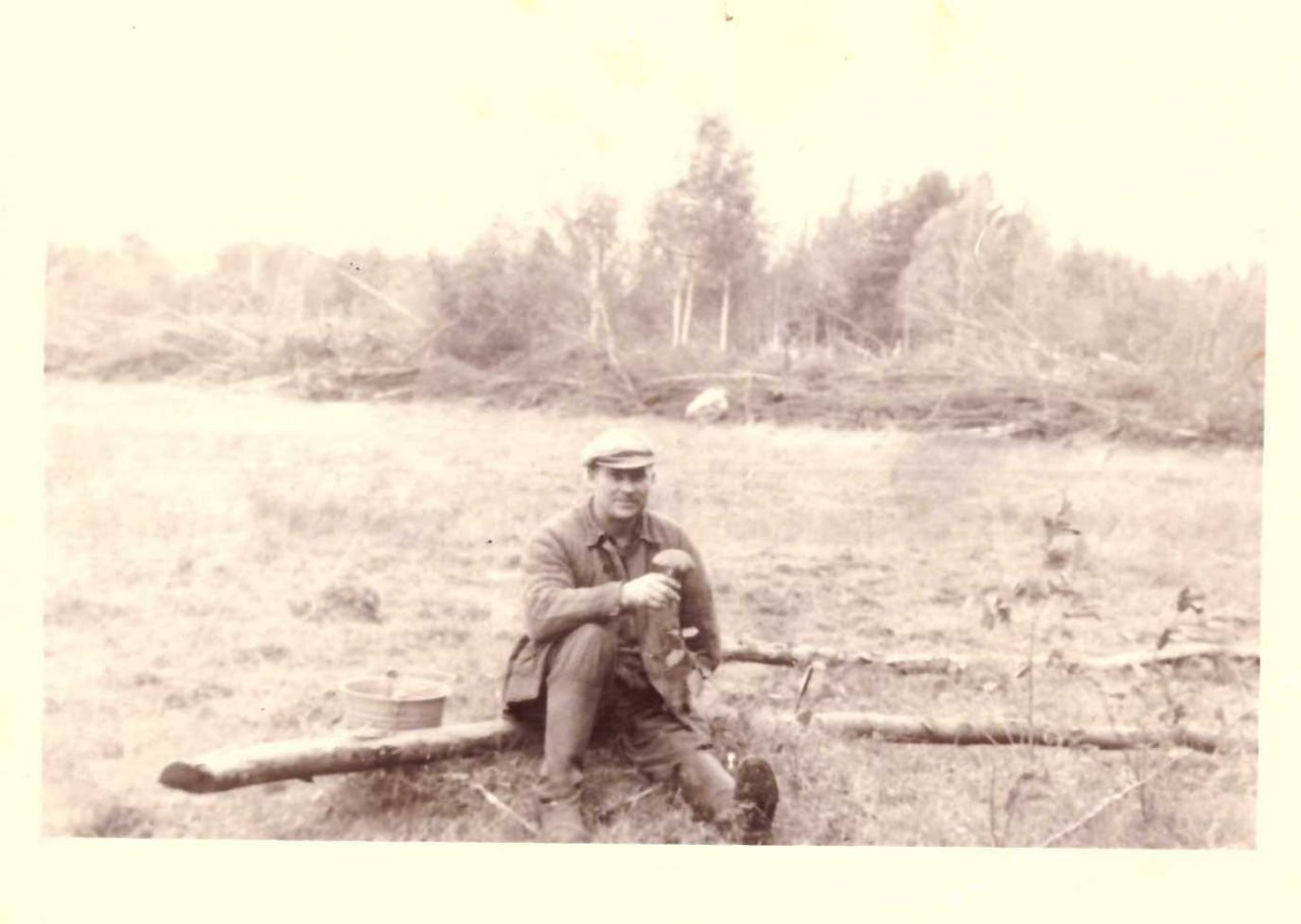 Новицкий Геннадий Петрович