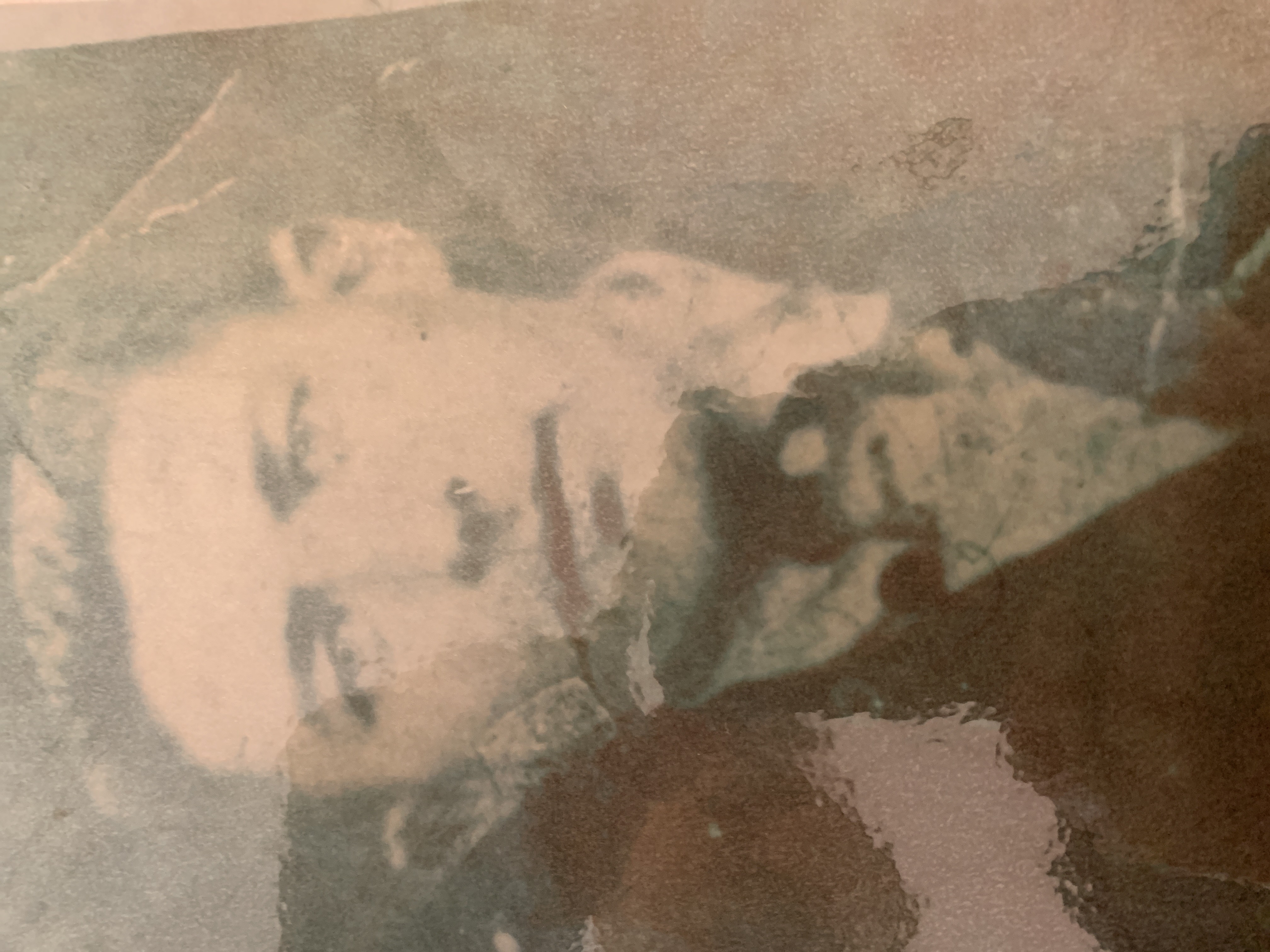 Сидоренко Николай Алексеевич