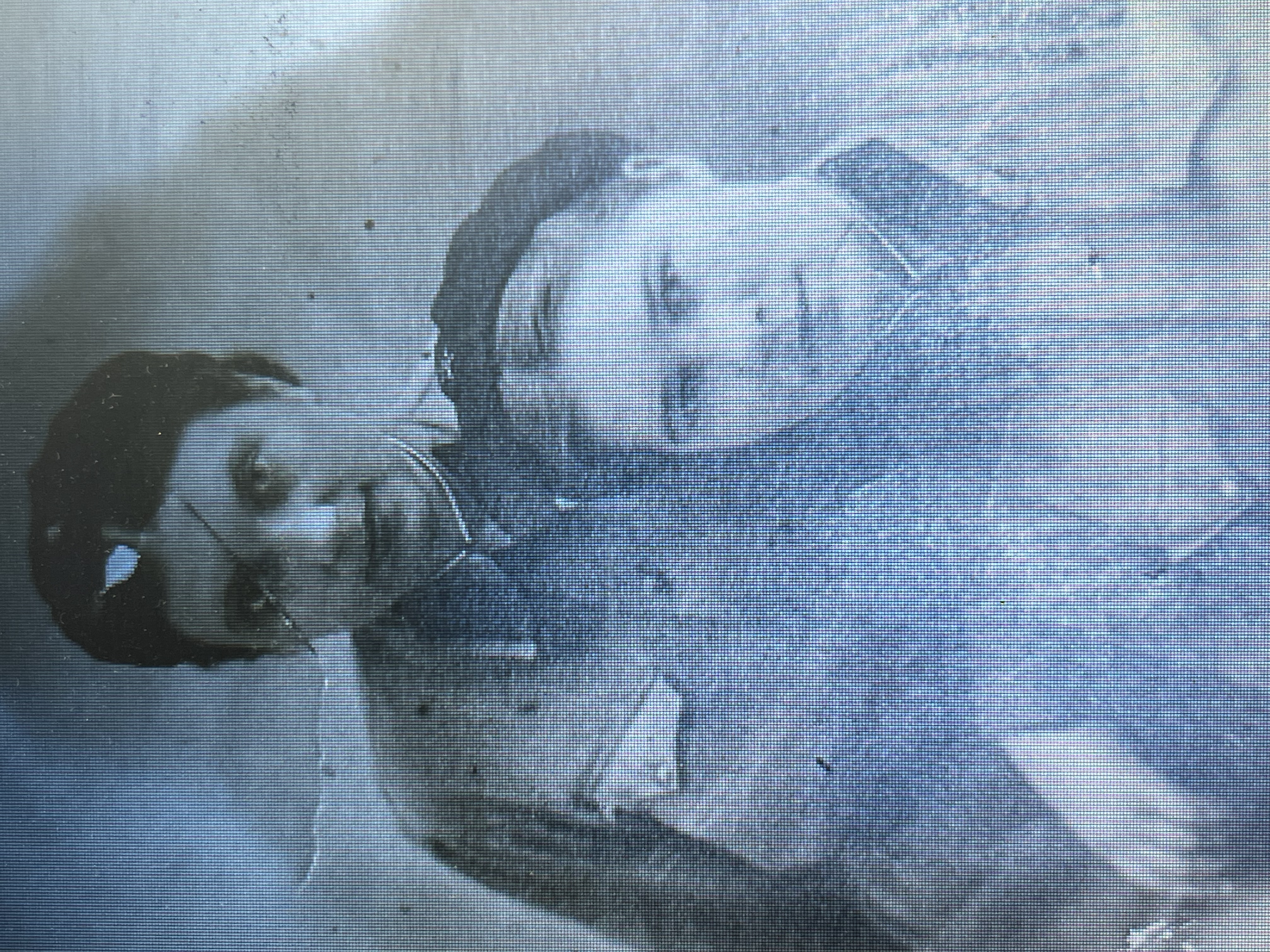 Яночкина (Гренкова) Валентина Захаровна