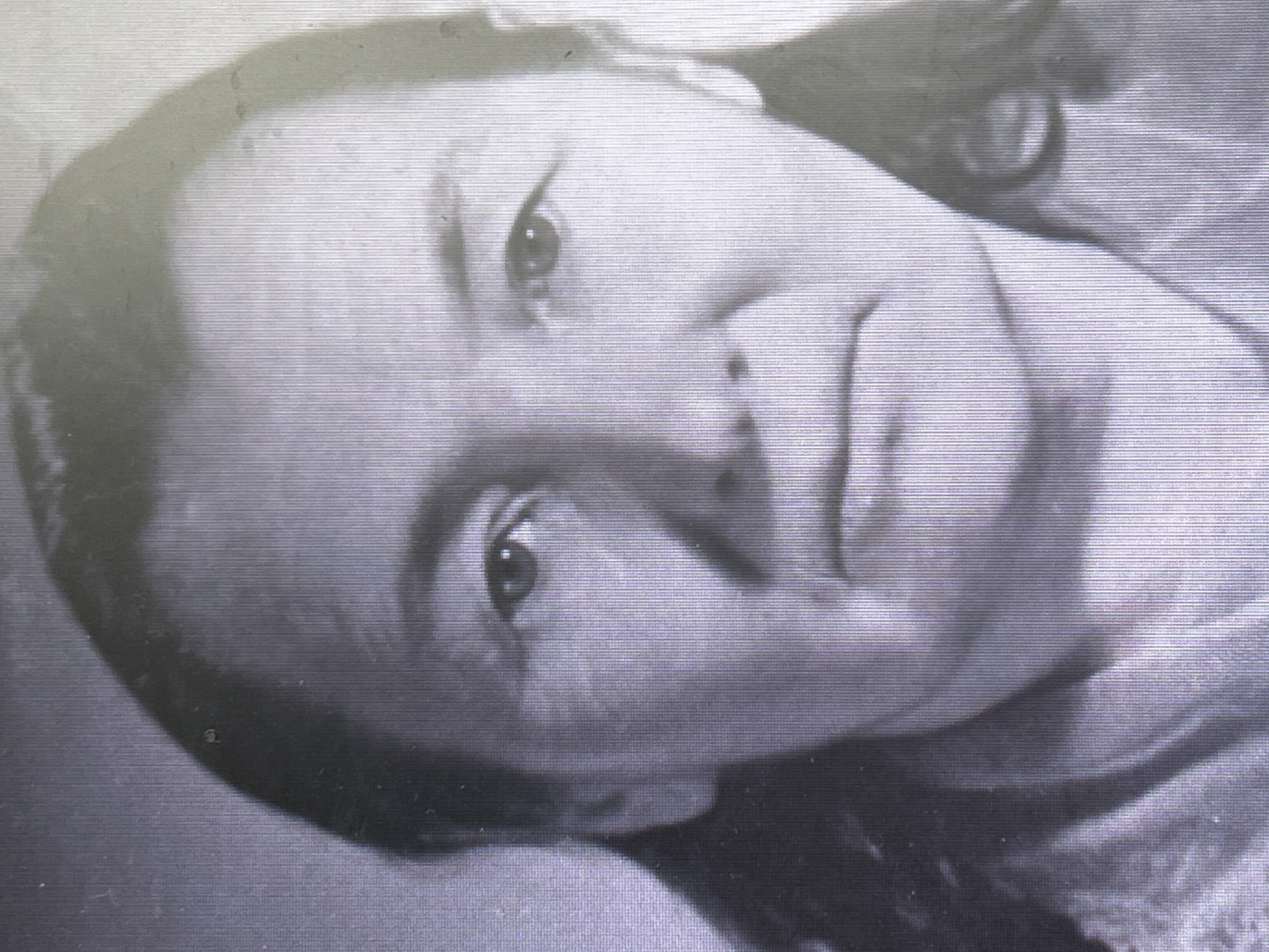 Прус (Шахмаева) Зоя (Зайтуна) Сергеевна (Сахиповна)