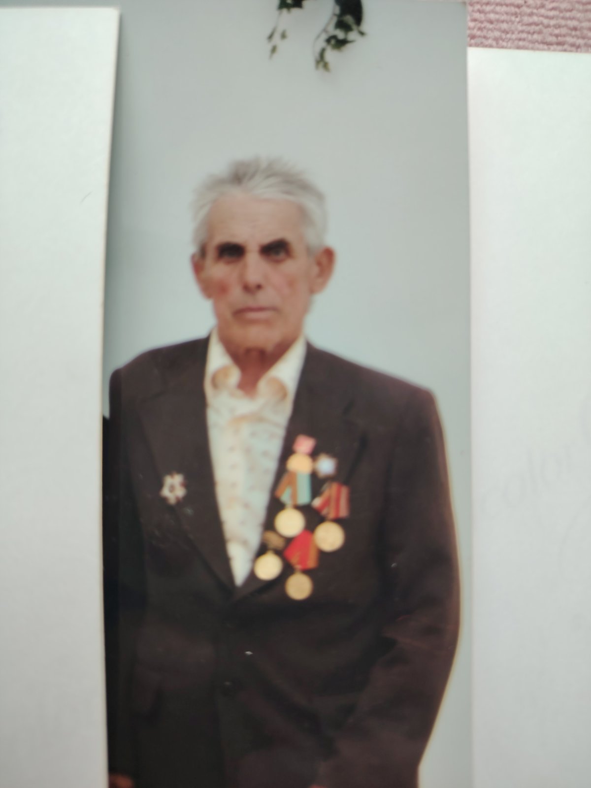 Печуро Михаил Дмитриевич